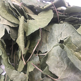 Копытень трава Карпаты 50г