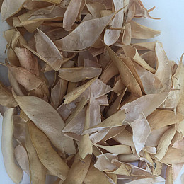 Створки фасоли Карпаты 50 г