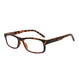 Очки для читання Sanico MQR 0117 EASY OLMO +2.00 Turtle