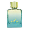 Туалетна вода чоловіча Hollister Wave 2 2017 100 мл Тестер (00-00062321)