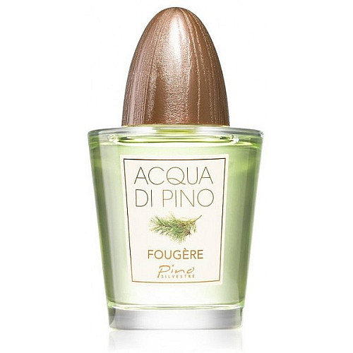 Туалетная вода для мужчин Pino Silvestre Acqua di Pino Fougere 125 мл (679602551120)