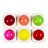 Бальзам для губ зволожуючий No Brand Pola Aylr Lip Balm 6 шт Фруктовий (LB-106)