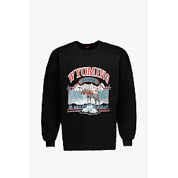 Светшот чоловічий No Brand 1909 M Чорний (2000990779342)