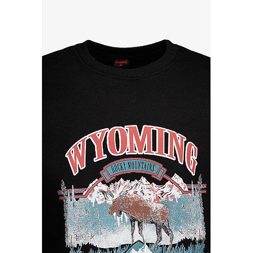 Светшот чоловічий No Brand 1909 M Чорний (2000990779342)