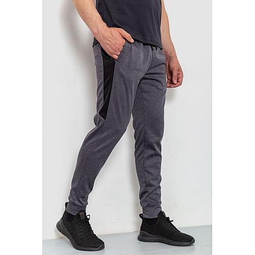 Спортивні штани чоловічі сірі 190R030 Ager M