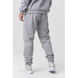 Спортивні штани чоловічі Demos DMS-035 baza 2XL Сірий (2000990059130)