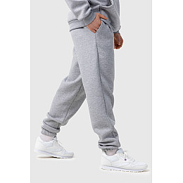 Спортивні штани чоловічі Demos DMS-036 baza 4XL Сірий (2000990059444)