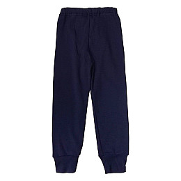 Детские штаны Flamingo L718-1006 110 см Синий (93007281)