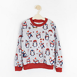 Свитшот детский новогодний с начесом Dexter`s christmas penguin 122 см Разноцветный