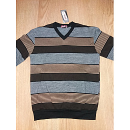 Светр чоловічий Salgado 48 L Коричневий (hub_hk9yqii)