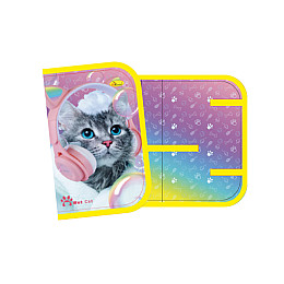 Пенал для школяра Апельсин АП-1003 19х13 см Wet Cat