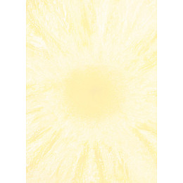 Блокнот 4Profi Frutti note ананас 40 листів А5 902620