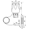 Термоголовка с выносным датчиком M30x1.5 KOER KR.1331 (KR2677)