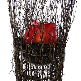 Торшер Кантри Brille 20W BKL-305