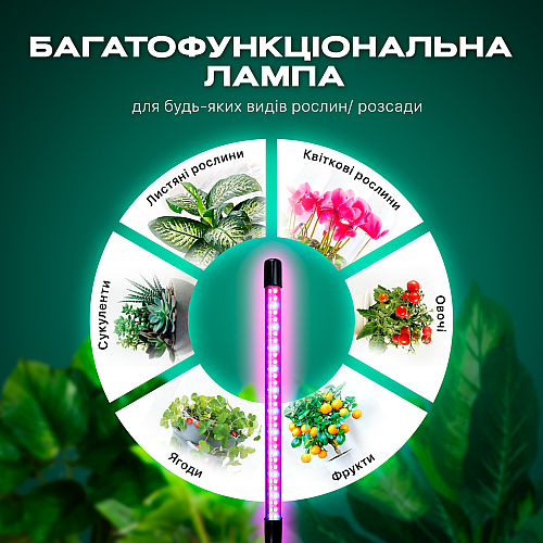 Фітолампа світлодіодна (LED) для рослин регулювання яскравості та кольору пульт таймер гнучка IP54 (FL-01)