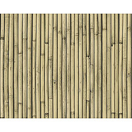 Обої на паперовій основі прості Шарм 177-01 Бамбук світло-бежеві (0,53*10м)