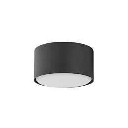 Точковий світильник TK Lighting Dallas Чорний (TK6241)