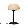 Настольная лампа Nordlux Sponge On A Sticknordlux Черный (Nor2320715003)