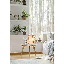 Настольная лампа Candellux Nagoja Бежевый (50501039)