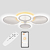 Потолочная LED люстра Sunlight 5333/2+2 R белый