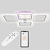 Потолочная LED люстра Sunlight 5667/2+2 R белый