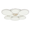 Потолочная люстра LED Sunlight 5890/3+3 Белый