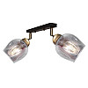 Светильник потолочный MSK Electric Enigma 2 лампы PL 20241-2 BK 619288
