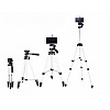 Штатив трипод з пультом ДУ Tripod DK-3888 для камери та телефону Сірий (500021)
