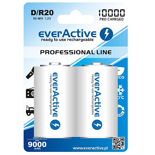 Аккумулятор everActive D/HR20 10000mAh BL 2шт