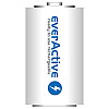 Аккумулятор everActive D/HR20 10000mAh BL 2шт