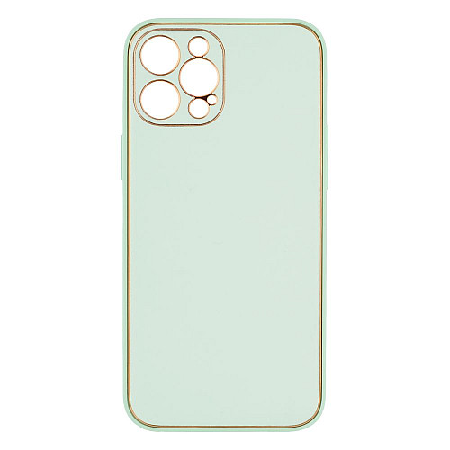 Чехол Leather Case Gold with Frame для Apple iPhone 12 Pro Max М'ятний