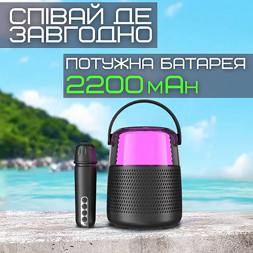 Портативна Караоке Система Блютуз з LED Підсвіткою та Функцією Зміни Голосу KTV У1 Чорна (754)
