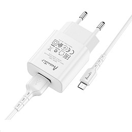 Сетеве зарядний пристрій Avantis A820 (1USB/2.4A) + USB кабель Micro-білий