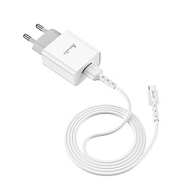 Сетевое зарядное устройство Avantis A825 (1USB/2.1A) + USB кабель Micro-белый