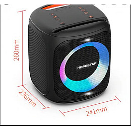 Колонка Bluetooth Hopestar PARTY100 LED (1756375402)