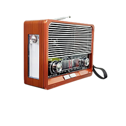 Радіоприймач на акумуляторі Everton RT-306 FM/AM/SW/Bluetooth/USB з ліхтариком (1756375712)