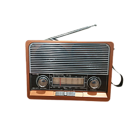 Радиоприемник на аккумуляторе Everton RT-306 FM/AM/SW/Bluetooth/USB с фонариком (1756375712)