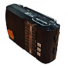 Аккумуляторный радиоприемник Golon ICF-8 Черный 2104618441