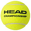 Теннисные мячи Head Championship 3 ball (1213)