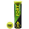 Тенісні м'ячі Dunlop Fort All Court TS 4ball
