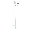 Палки горнолыжные Volkl Phantastick Women's Ski Poles Green-Purple 130 169819-130