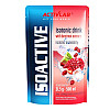 Изотоник Activlab ISO Active 31,5 g Kiwi Granat