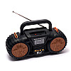 Портативное FM-радио EPE FP-131-S с USB/TF/MP3 Черный c золотом KNS18-97
