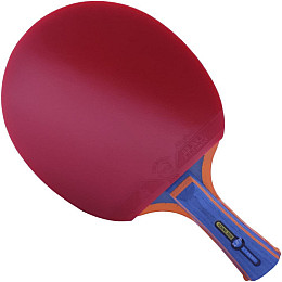 Ракетка 729 Young Y2020S