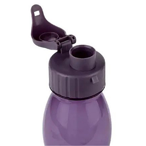 Бутылка для питья ERNESTO 0,7 Фиолетовый (IAN339542 violet)