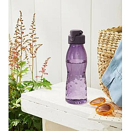 Бутилка для пиття ERNESTO 0,7 Фіолетовий (IAN339542 violet)