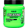 Креатин Evolite Nutrition Creatine Monohydrate Green Apple 500 г (27453)