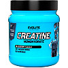 Креатин Evolite Nutrition Creatine Monohydrate Blueberry 500 г (27455)