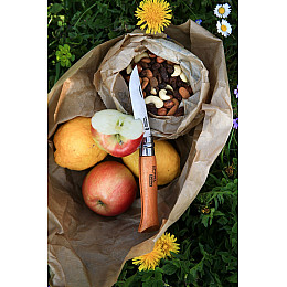 Складний ніж Opinel №9 Tradition 90 мм (113090)