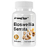Натуральная добавка для спорта Ironflex Boswellia Serrate 100 Tabs (000023376)
